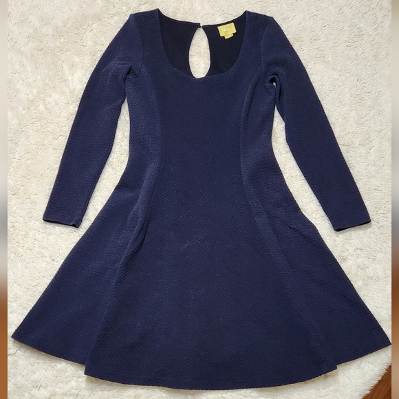 Anthropologie Maeve Sasha Navy Fit and Flare Textured Long Sleeve Dress Sz Large - Picture 4 of 12